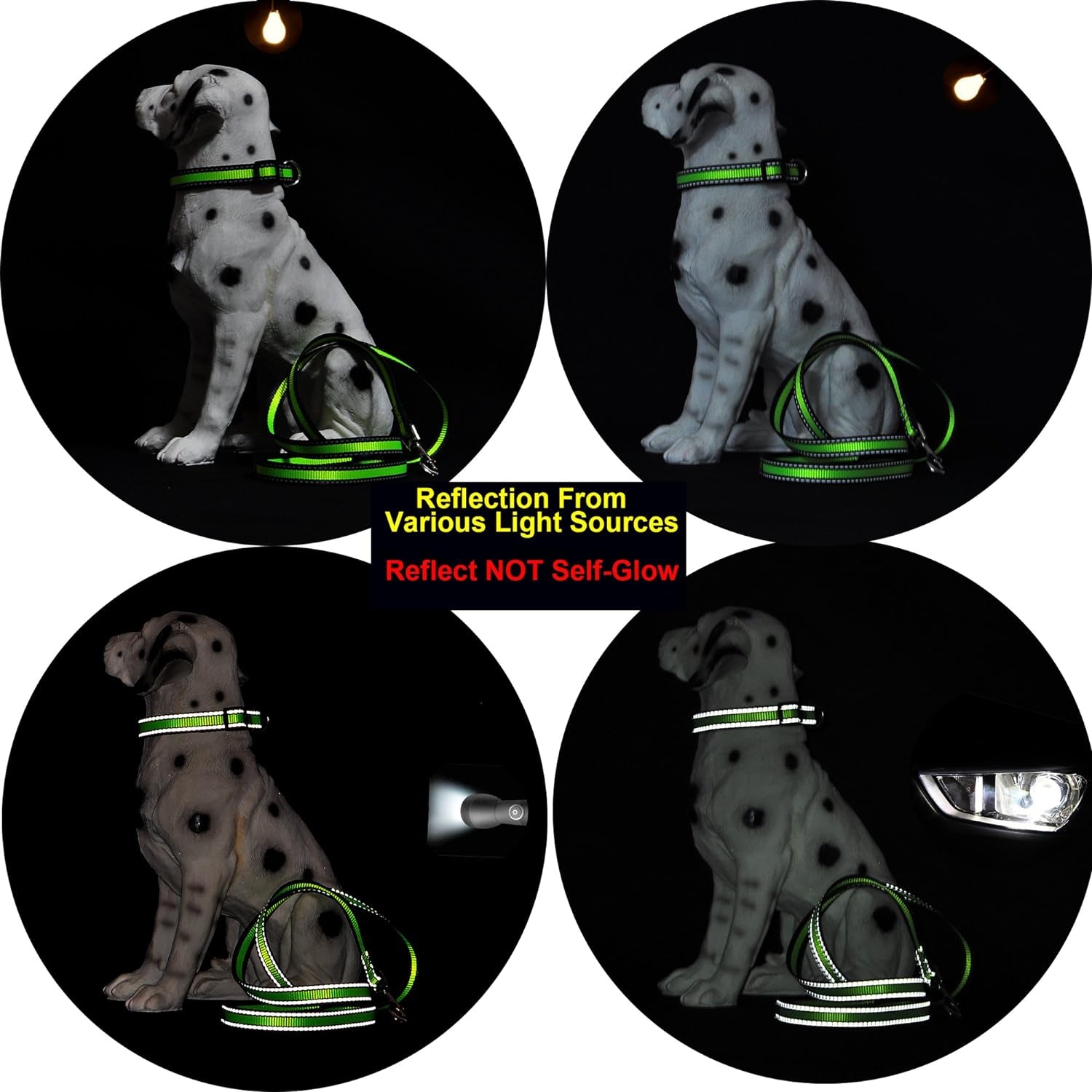 Dog Collar | Reflective 3M Stripe with Nylon Band (Blue/Pink, Medium (Pack of 2))