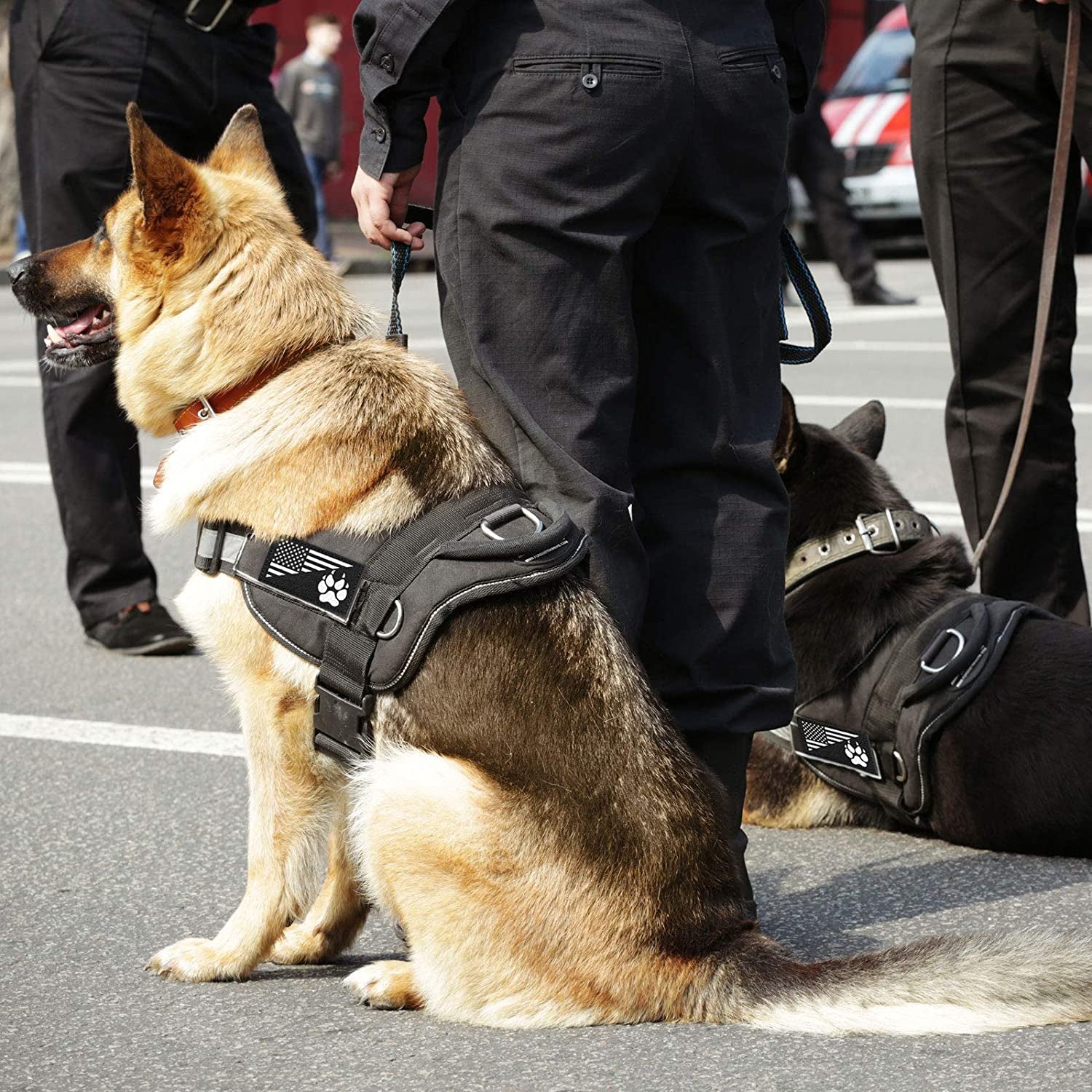 Enhance Your Dog's Safety with 8 Reflective Service Dog Vest Patches - Do Not Pet in Training Tactical Patches with Paw and Flag Designs