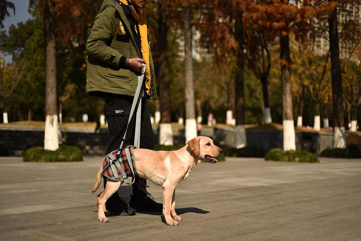 Ultimate Dog Lift Harness - Veterinarian Approved Support Sling for Senior Dogs with Joint Issues, Arthritis, and Recovery Needs