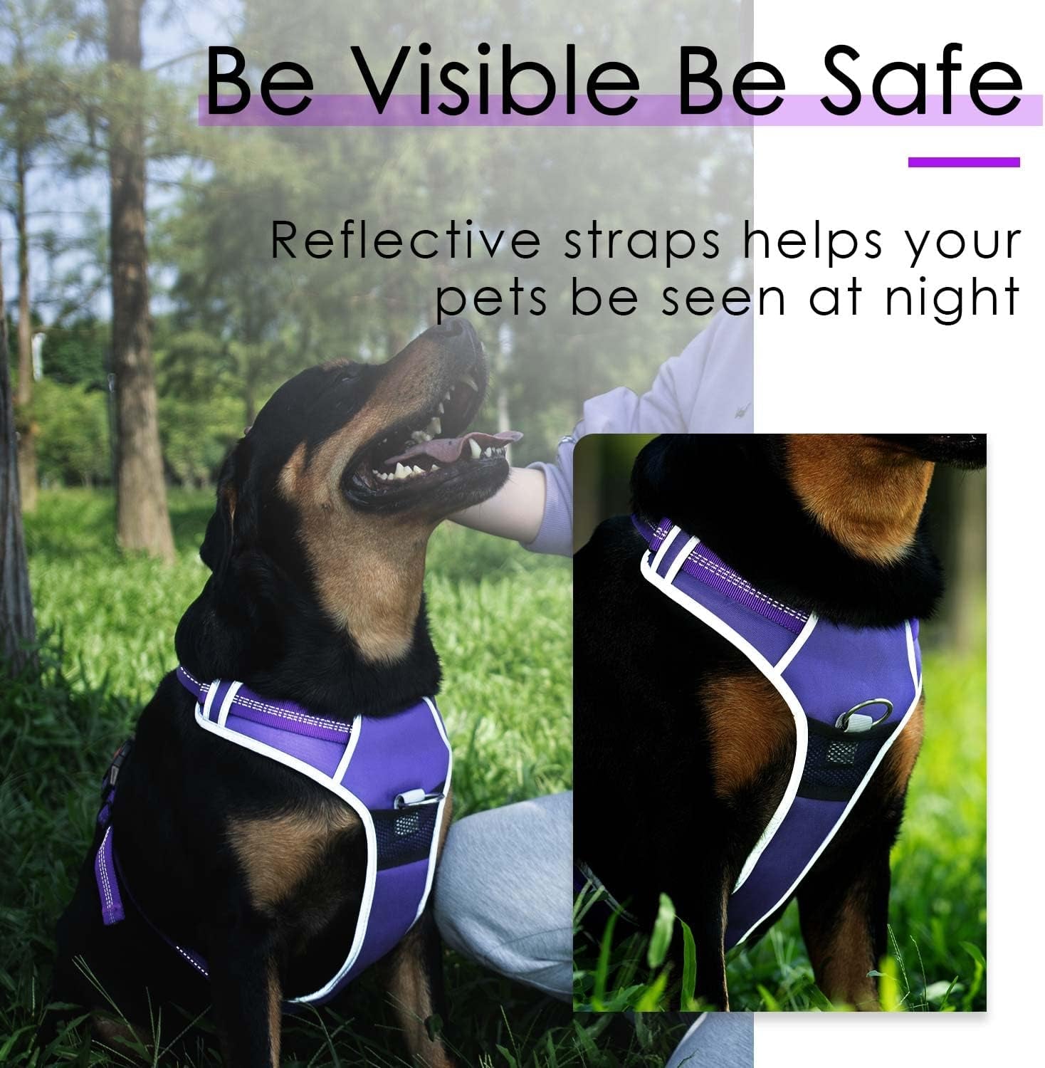 Ultimate No Pull Dog Harness and Leash Set - Reflective Vest with Dual Handle Leash for Maximum Control and Comfort in T-Purple