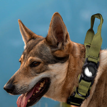AirTag Collar