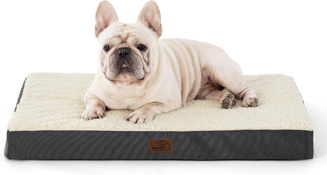 Cozy Orthopedic Dog Bed for Medium Breeds - Removable Washable Cover with Egg Crate Foam for Ultimate Comfort