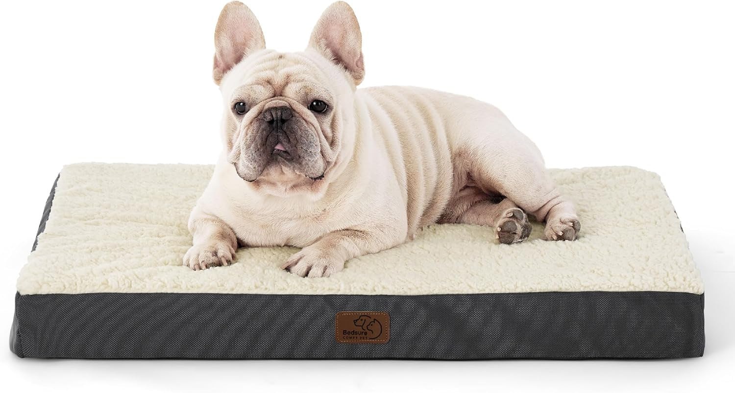 Cozy Orthopedic Dog Bed for Medium Breeds - Removable Washable Cover with Egg Crate Foam for Ultimate Comfort