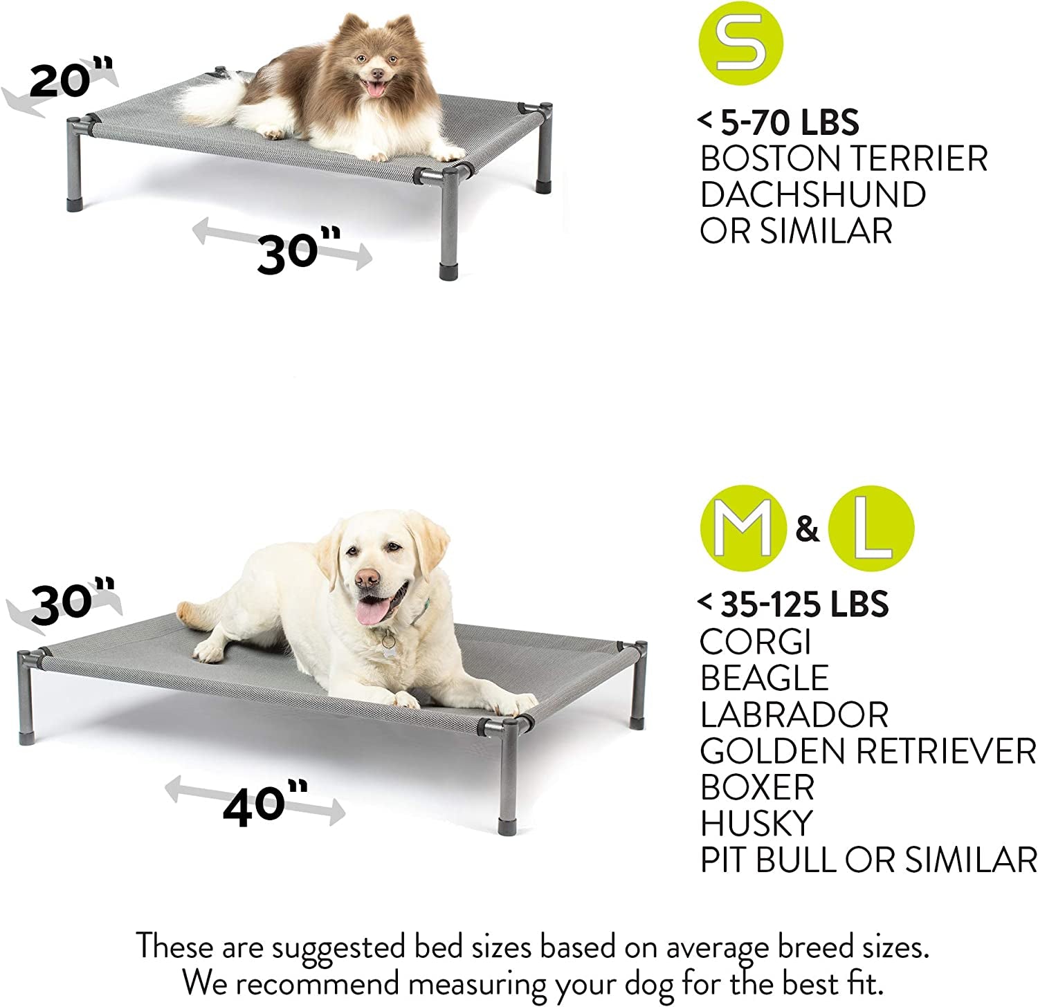 Elevate Your Dog's Comfort with the Raised Rest Deluxe Elevated Dog Bed - Perfect for Large Breeds, Washable, and Travel-Friendly