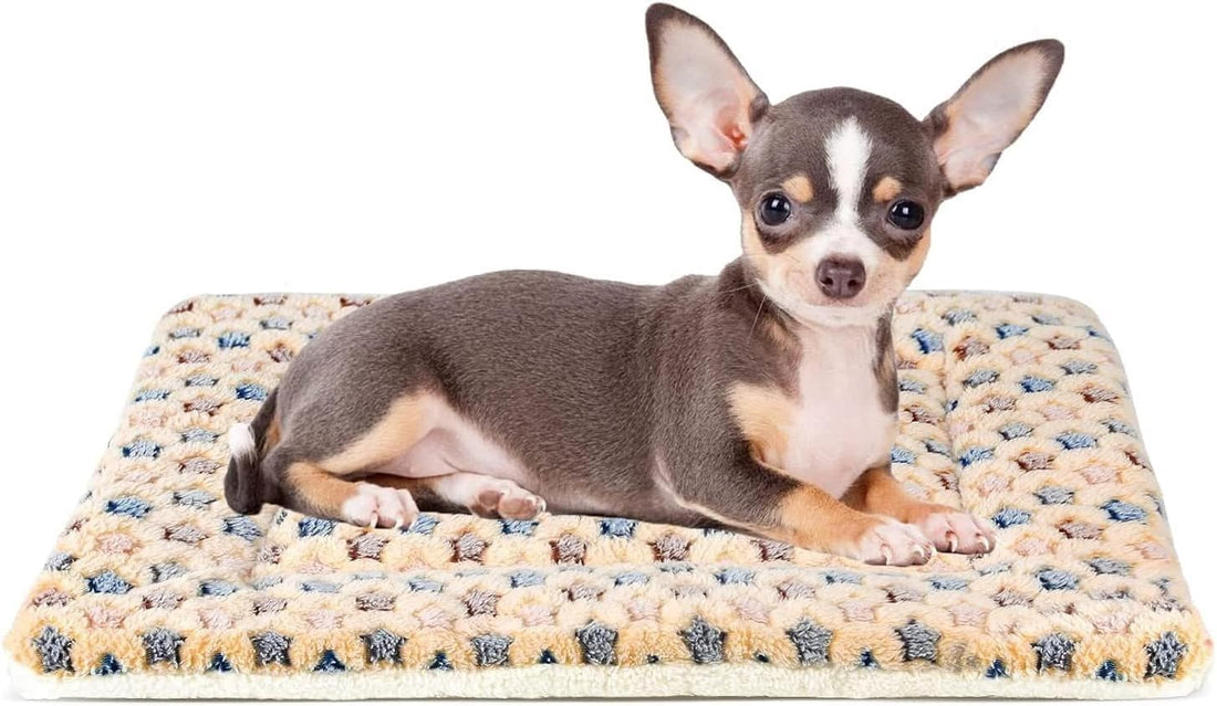 Cozy and Stylish Dog Crate Pad - Ultra Soft Reversible Pet Bed with Star Print for All Breeds, Perfect for Home and Travel - 21 x 12 Inch Brown