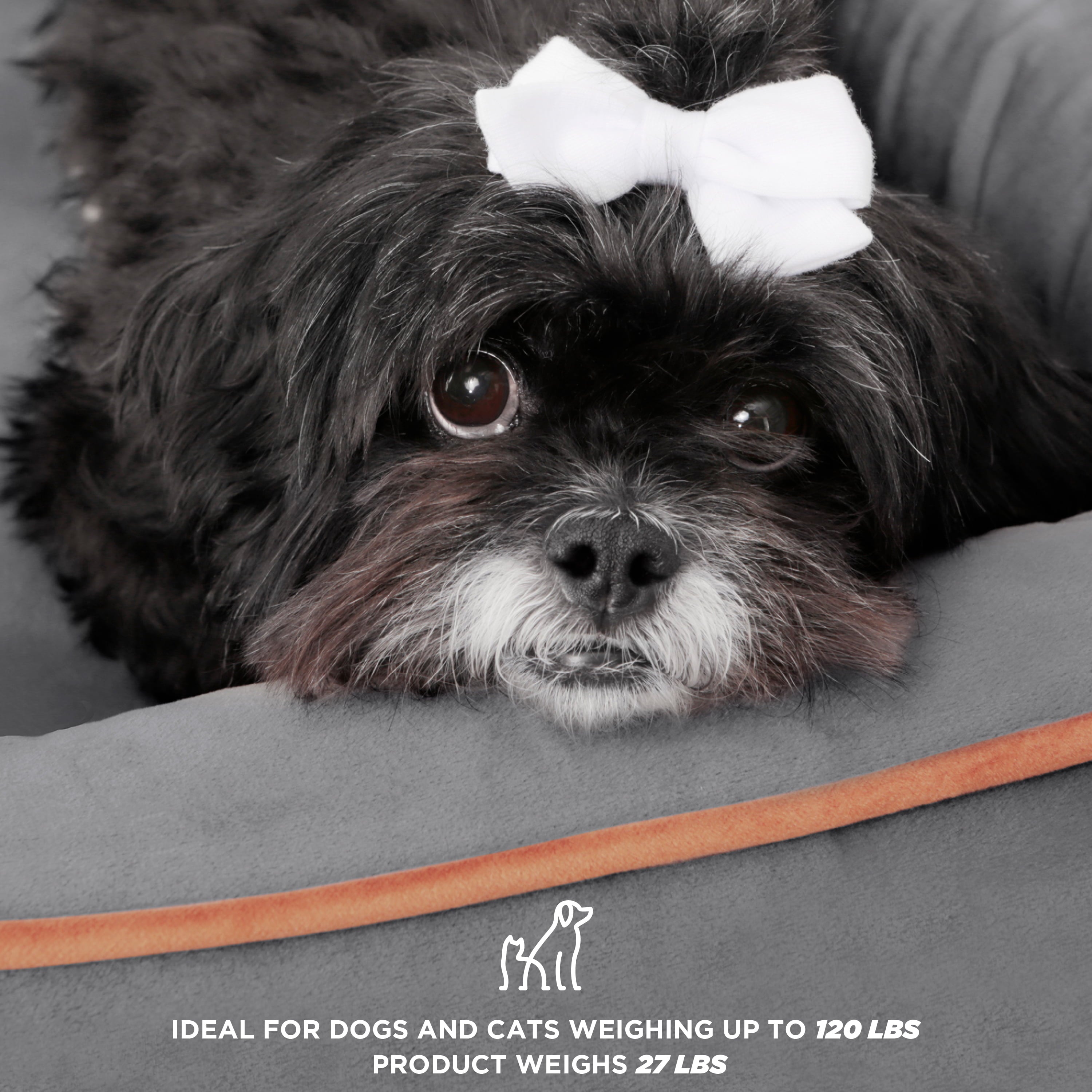 TailZzz Wyatt Elevated Wooden Pet Bed with Plush Mattress | Stylish & Functional Bed for Small to Medium Dogs | Greenguard Gold Certified & Water-Resistant Design