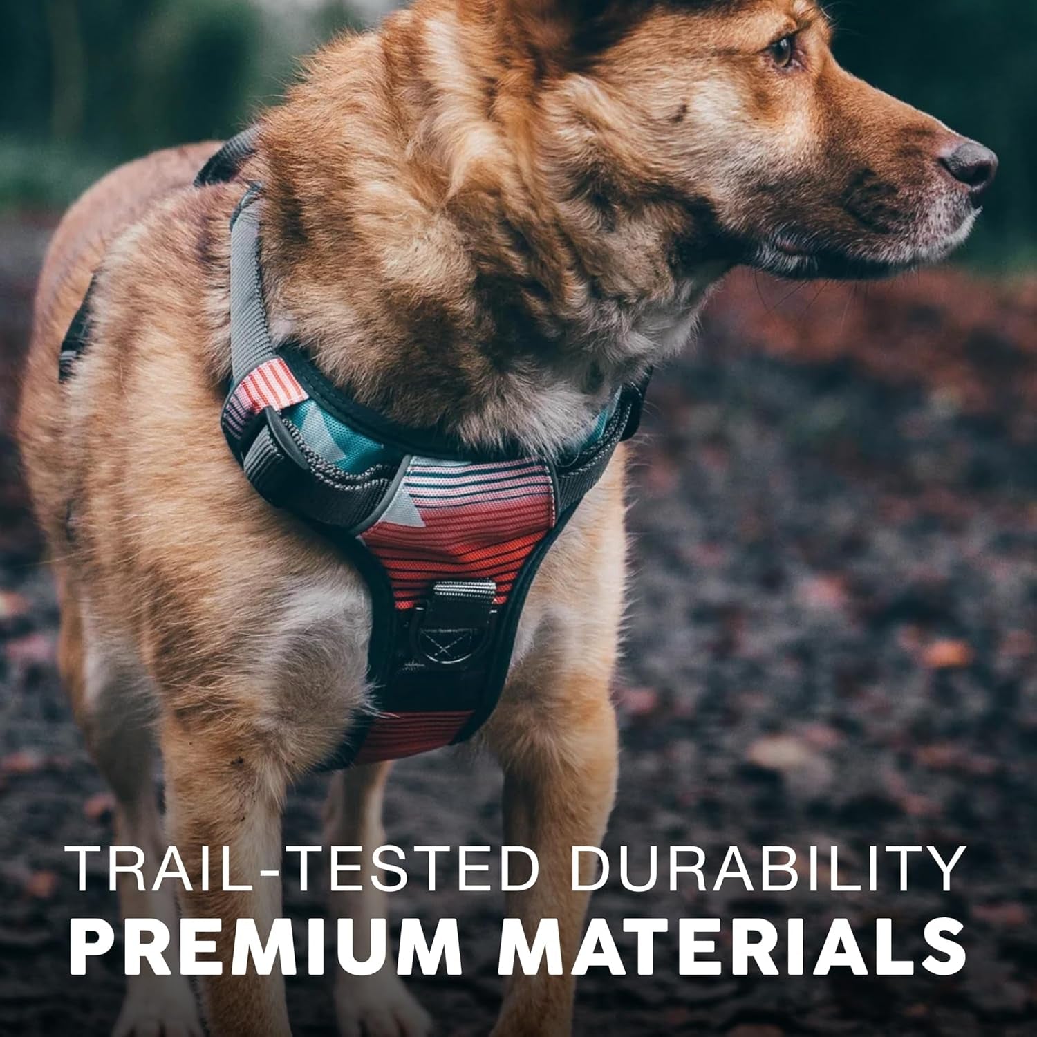 Embark Adventure Dog Harness - Ultimate No Pull Solution for Small Dogs with Reflective Trim and Gel Handle