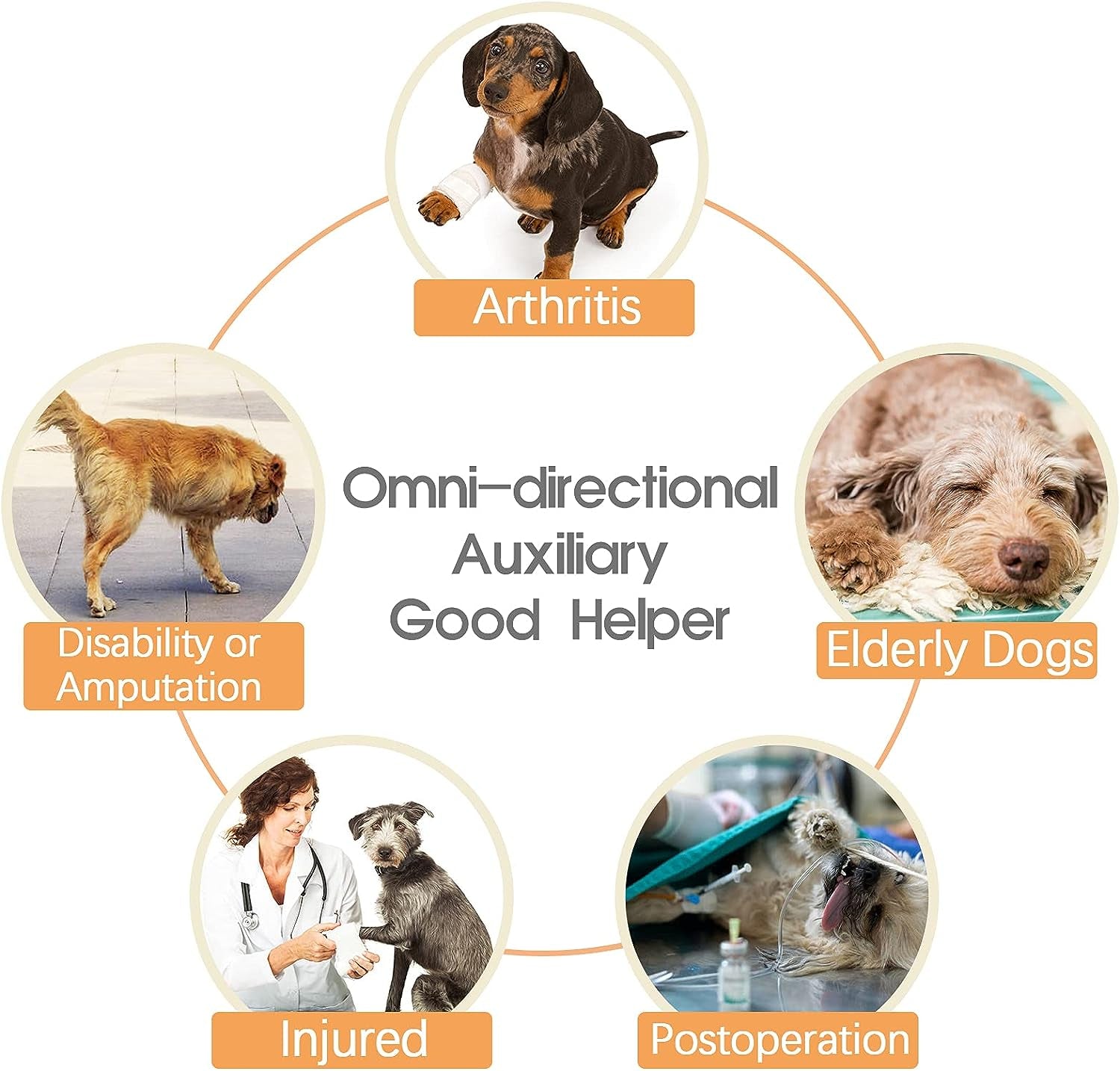 Ultimate Dog Lift Harness - Veterinarian Approved Support Sling for Senior Dogs with Joint Issues, Arthritis, and Recovery Needs